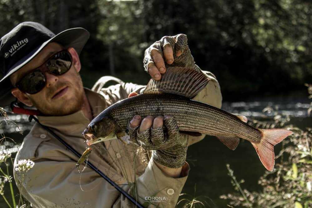 wędkarstwo skandynawia